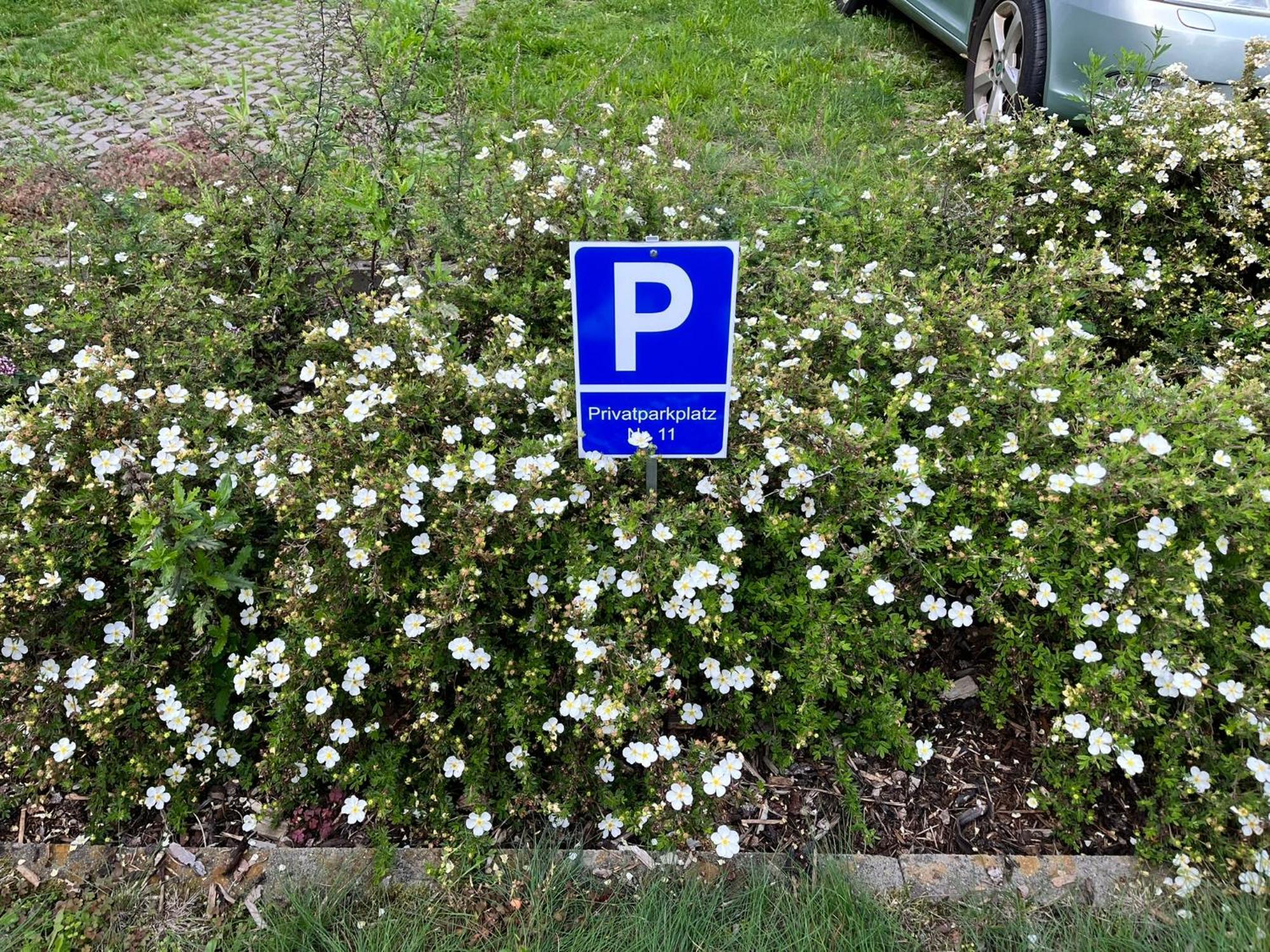 Gemuetliche Wohnung Am Muellerring Leipzig Dış mekan fotoğraf