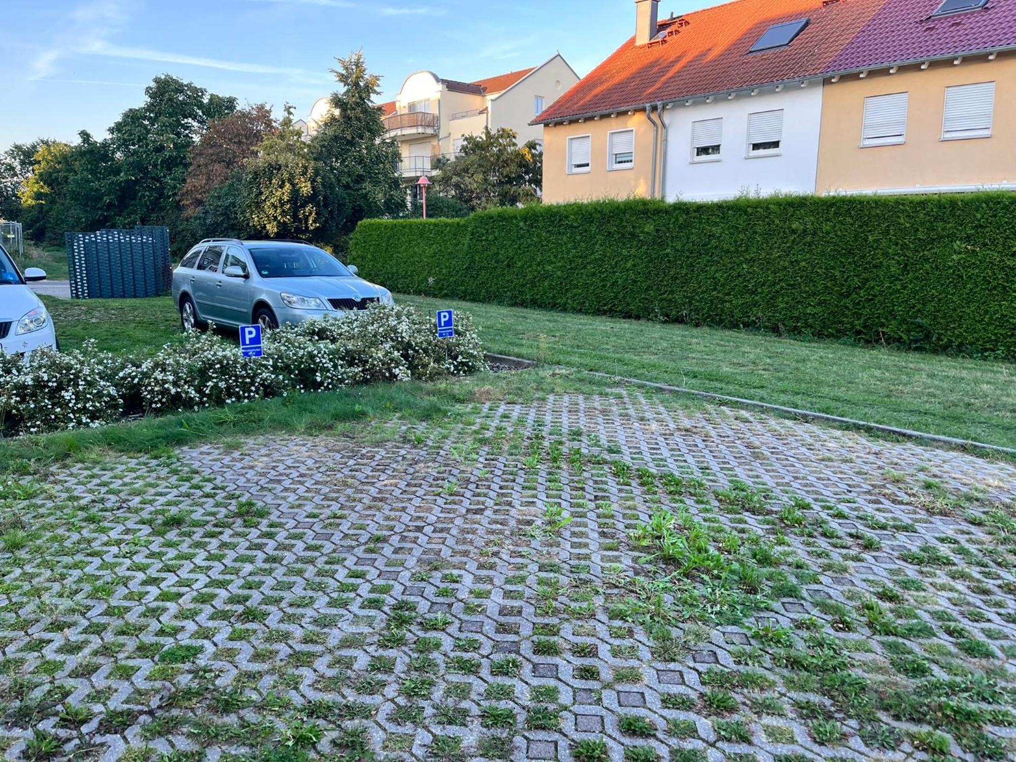 Gemuetliche Wohnung Am Muellerring Leipzig Dış mekan fotoğraf